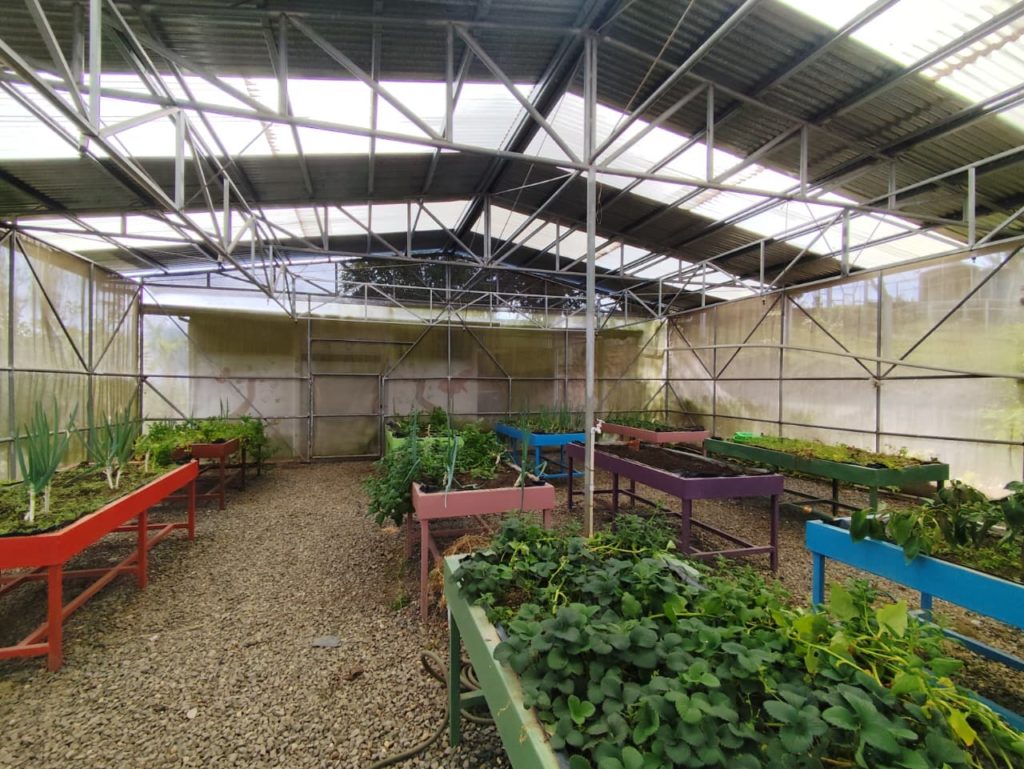 Programa Yo Pienso Verde comparte recomendaciones para sostener acciones ambientales en centros educativos