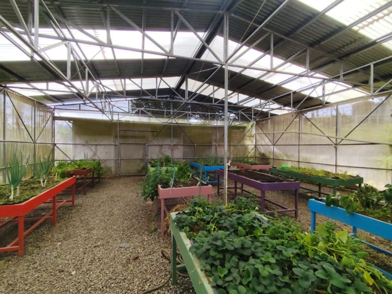 Programa Yo Pienso Verde comparte recomendaciones para sostener acciones ambientales en centros educativos