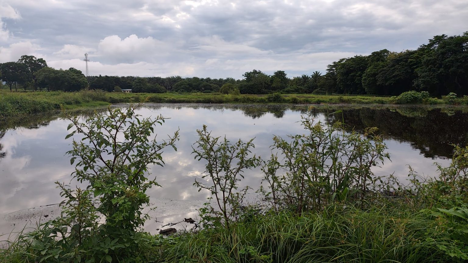 Imagen principal del artículo: Habitantes de Corredores denuncian contaminación en el río Coto Colorado