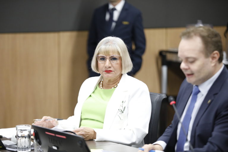 Diputada oficialista propone prohibir que magistraturas suplentes litiguen ante sus salas