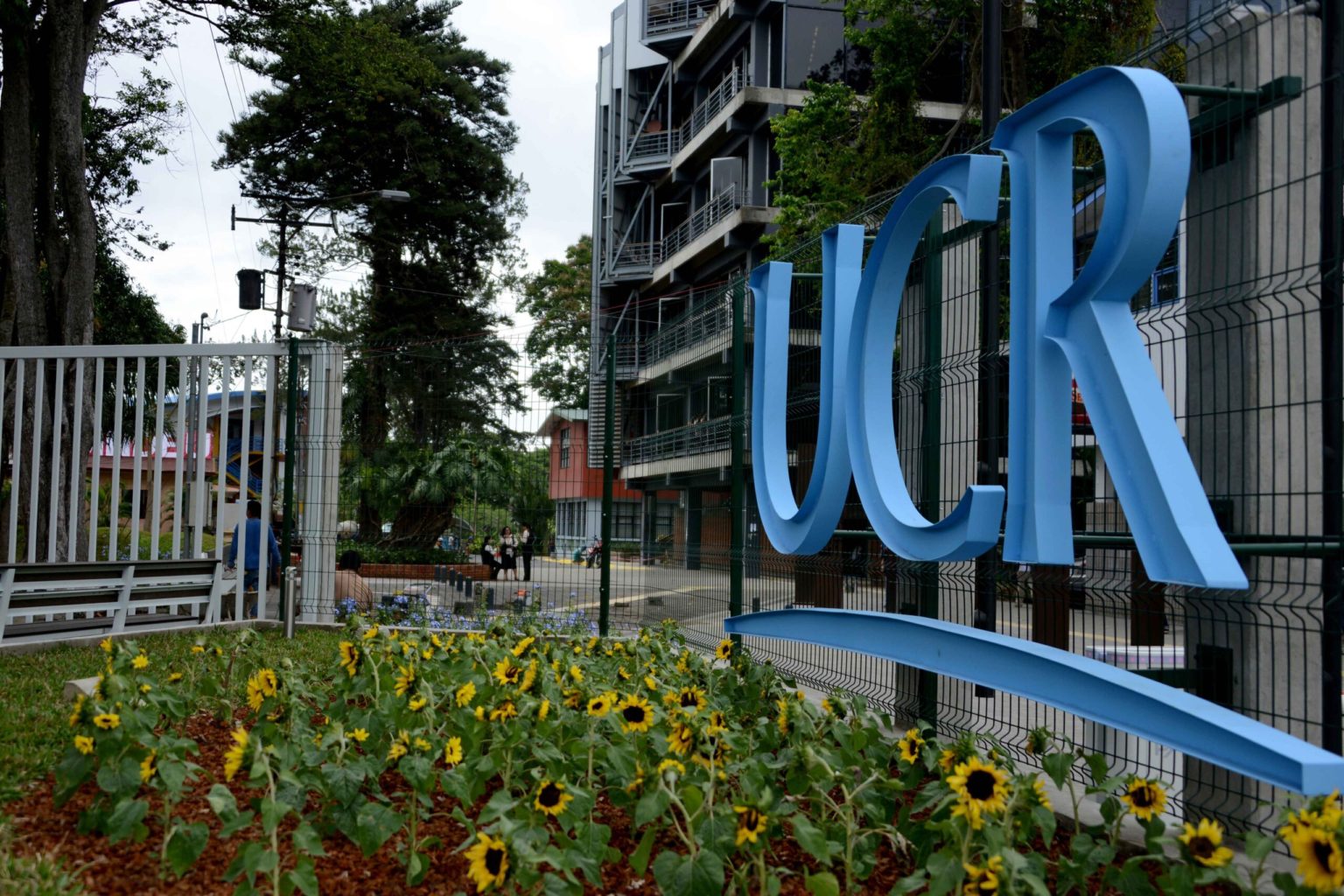 Imagen principal del artículo: UCR llama a revisar modelo turístico de Papagayo ante tala autorizada en Playa Panamá