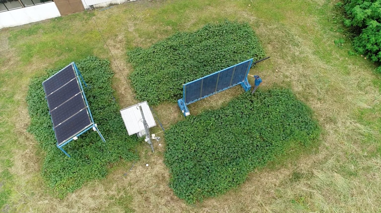 Imagen principal del artículo: ¿Se puede producir energía solar sin sacrificar cultivos? TEC prueba cómo hacerlo en San Carlos