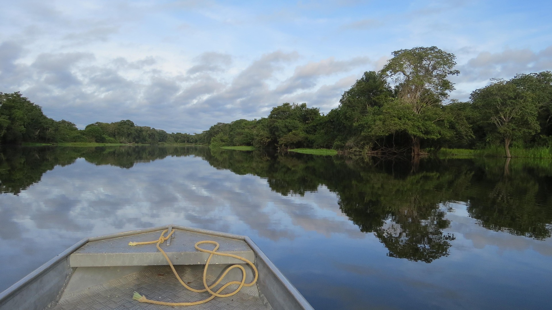 Imagen principal del artículo: Amazomorfosis: la Amazonía en disputa y los límites del Acuerdo de Escazú