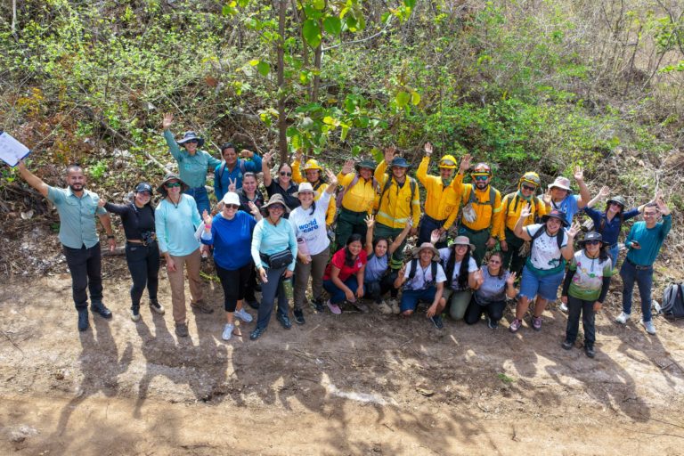 Costa Rica rompe récord de reforestación: Siembratón 2026 supera los 2,8 millones de árboles