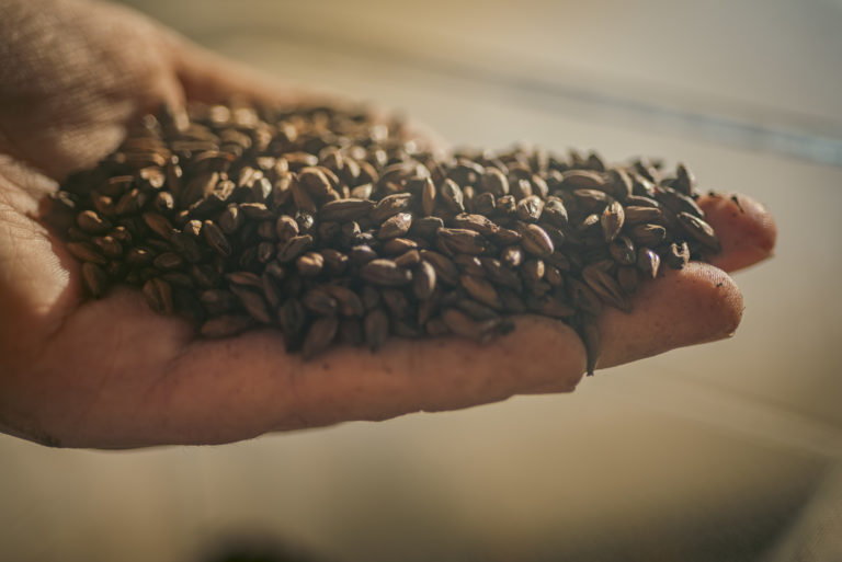 HEINEKEN Costa Rica fortalece gestión de agua y resiliencia climática ante escenarios más secos
