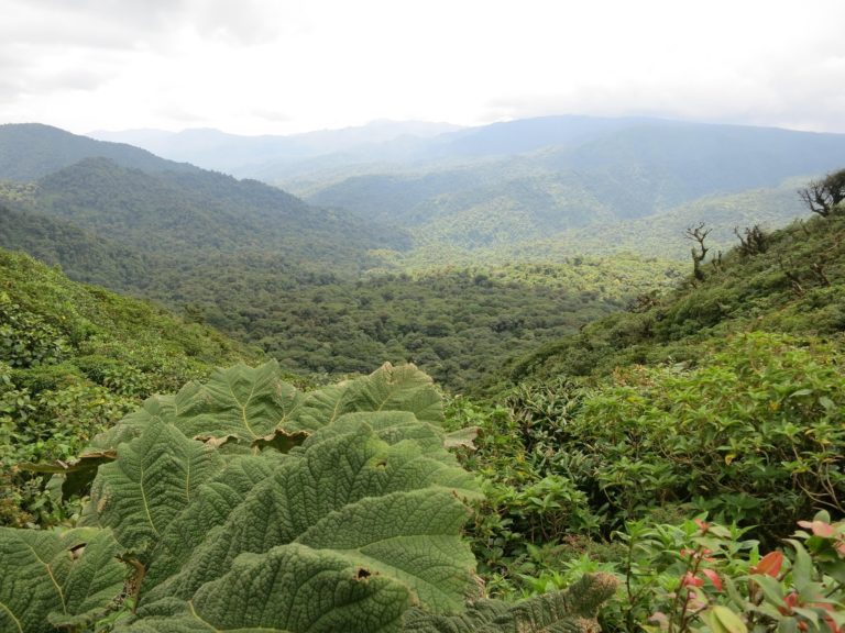 ¿Cómo convivir en armonía con la naturaleza? Las Reservas de la Biosfera de la UNESCO lo están logrando
