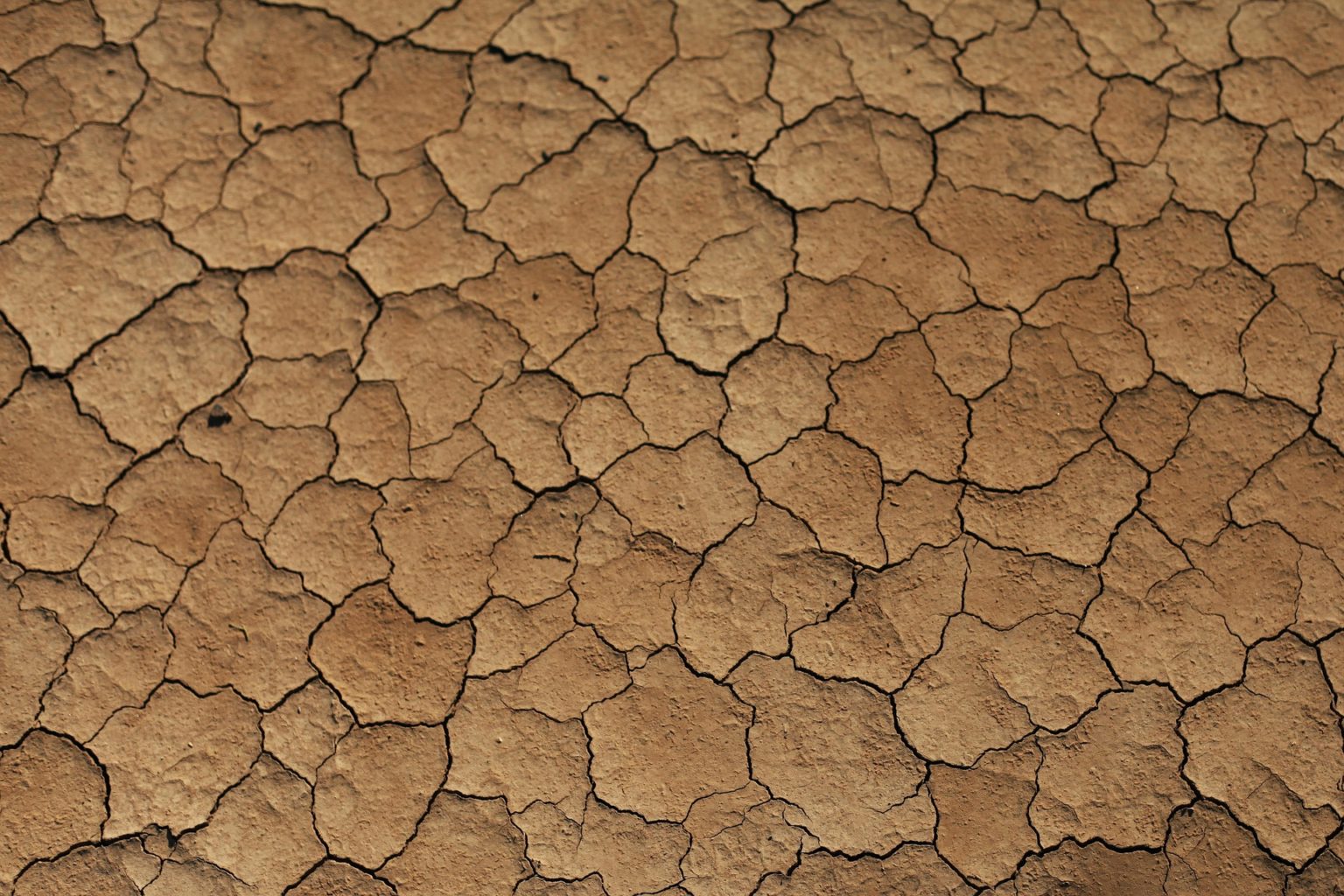Imagen principal del artículo: Las travesuras de El Niño