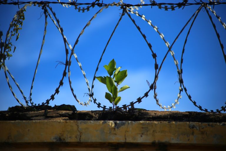 La banalidad de la cárcel: cuando la pena deshumaniza, el Estado se deslegitima