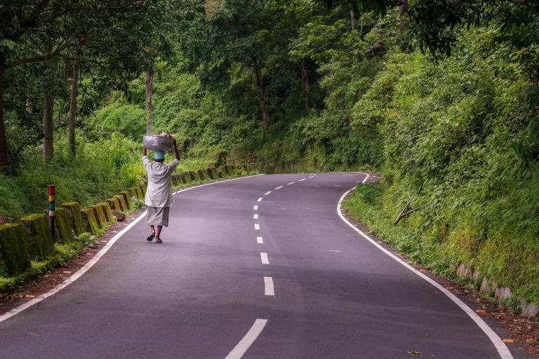 Más allá de la mesa: el compromiso que sostiene el desarrollo rural de Costa Rica