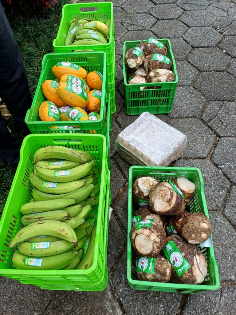 IICA y Catie llevan alimentos libres de pesticidas a comedores escolares de Vázquez de Coronado