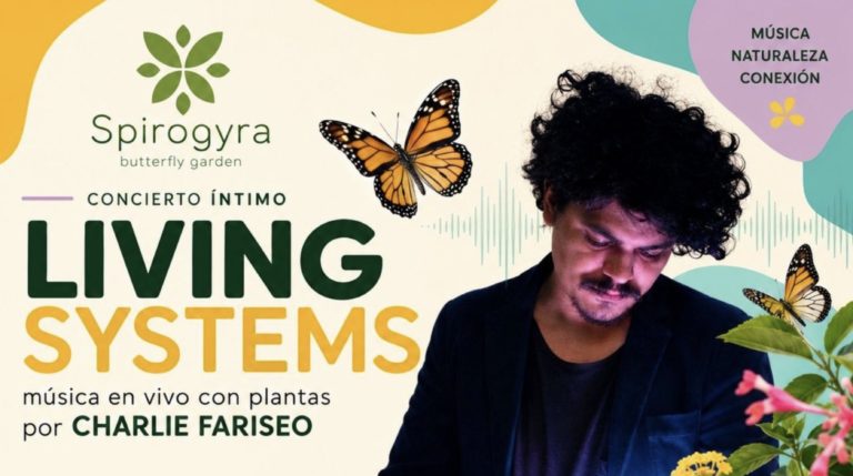 Living Systems llevará música creada con plantas al Mariposario Spirogyra