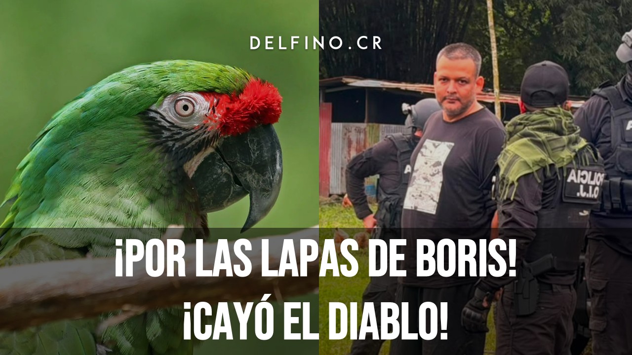 ¡Por las lapas de Boris! ¡Cayó el Diablo!