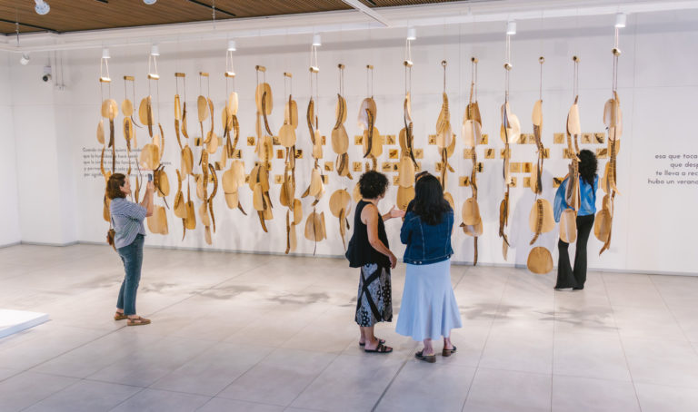 Galería Sophia Wanamaker exhibe instalación de Ana Broennimann sobre memoria, naturaleza y el paso del tiempo