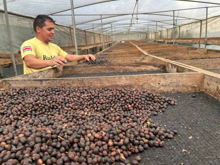Estudio del Catie destaca aporte del capital semilla no reembolsable al desarrollo rural sostenible en Costa Rica