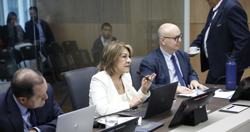 Solano: Bloqueo a suplentes de Sala IV entraba caso de financiamiento de Chaves