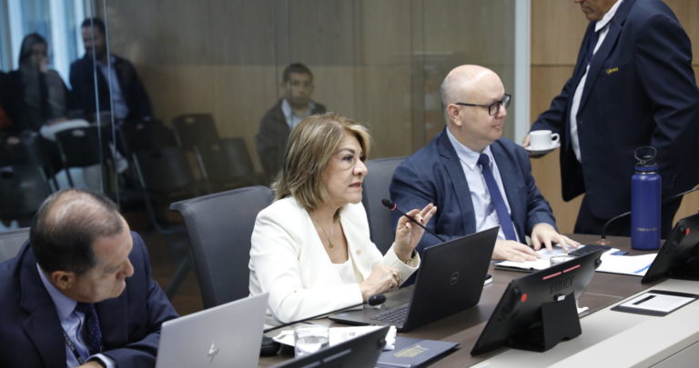 Solano: Bloqueo a suplentes de Sala IV entraba caso de financiamiento de Chaves