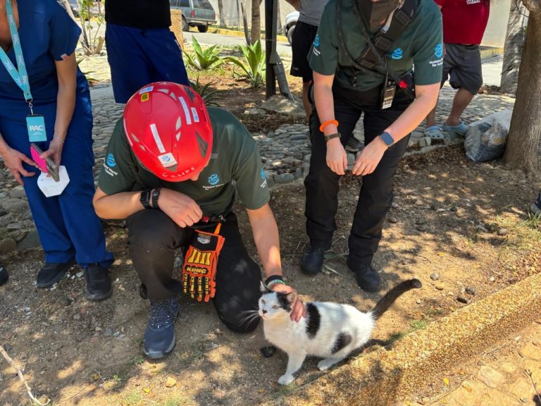 Cuatro costarricenses viajan a Venezuela para ayudar a animales afectados por terremotos