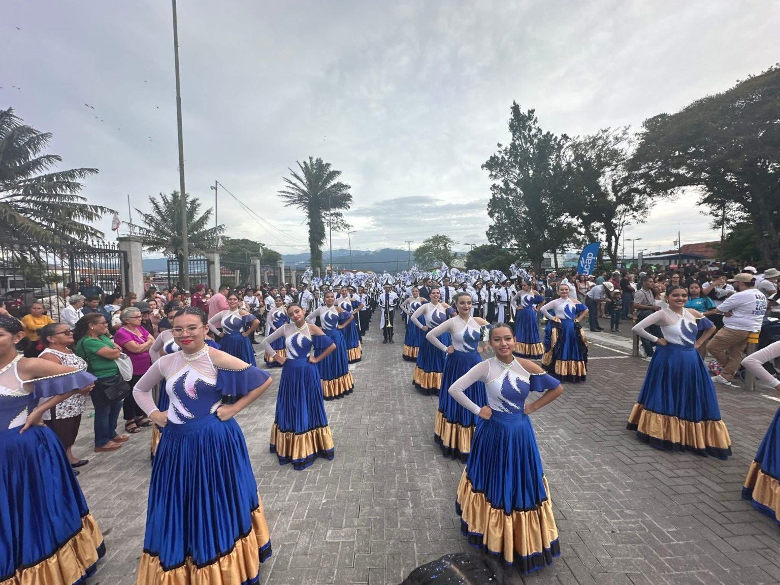 Imagen principal del artículo: Competencia Nacional de Bandas "Corazón Verde" celebrará su vigésimo aniversario con participación internacional