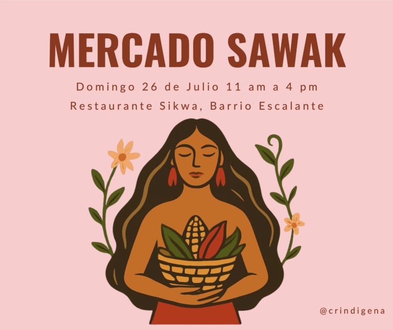 Mercado solidario apoyará participación de mujeres indígenas en encuentro nacional