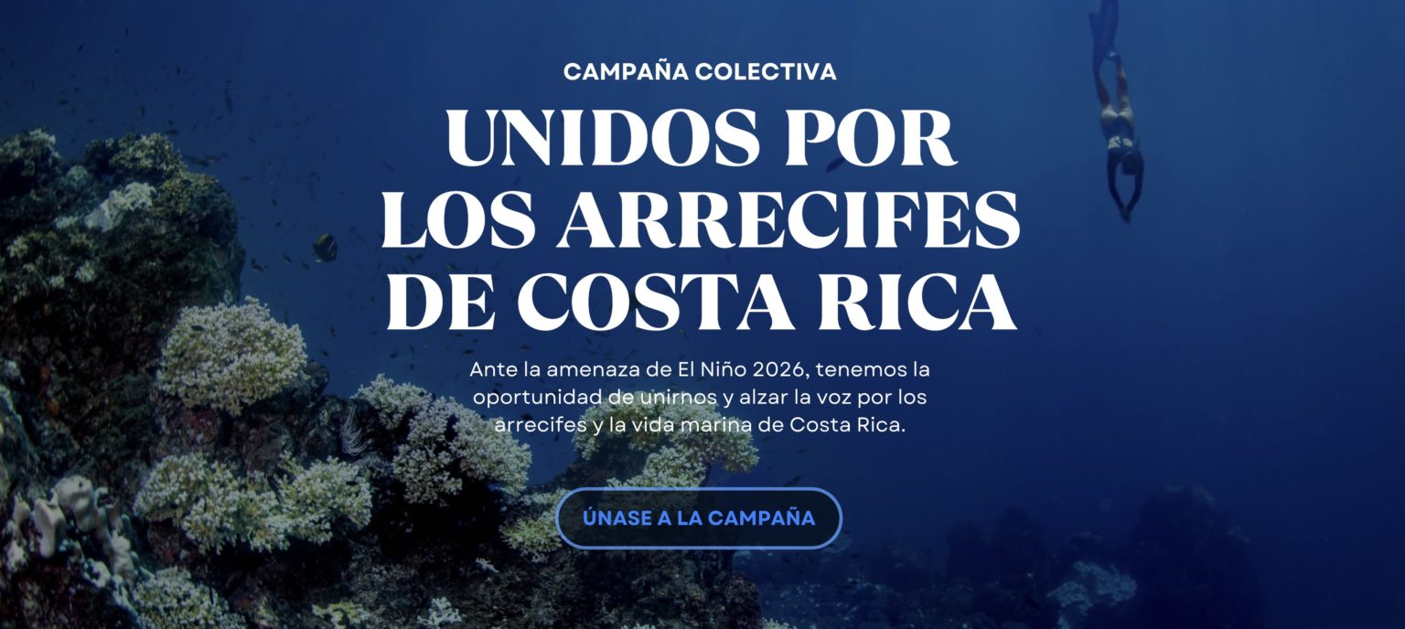 Imagen principal del artículo: Nace campaña nacional para reducir presión humana sobre arrecifes ante nuevo evento de El Niño