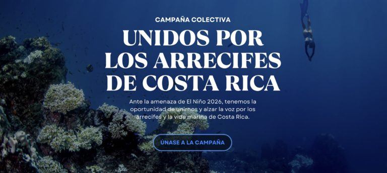 Nace campaña nacional para reducir presión humana sobre arrecifes ante nuevo evento de El Niño