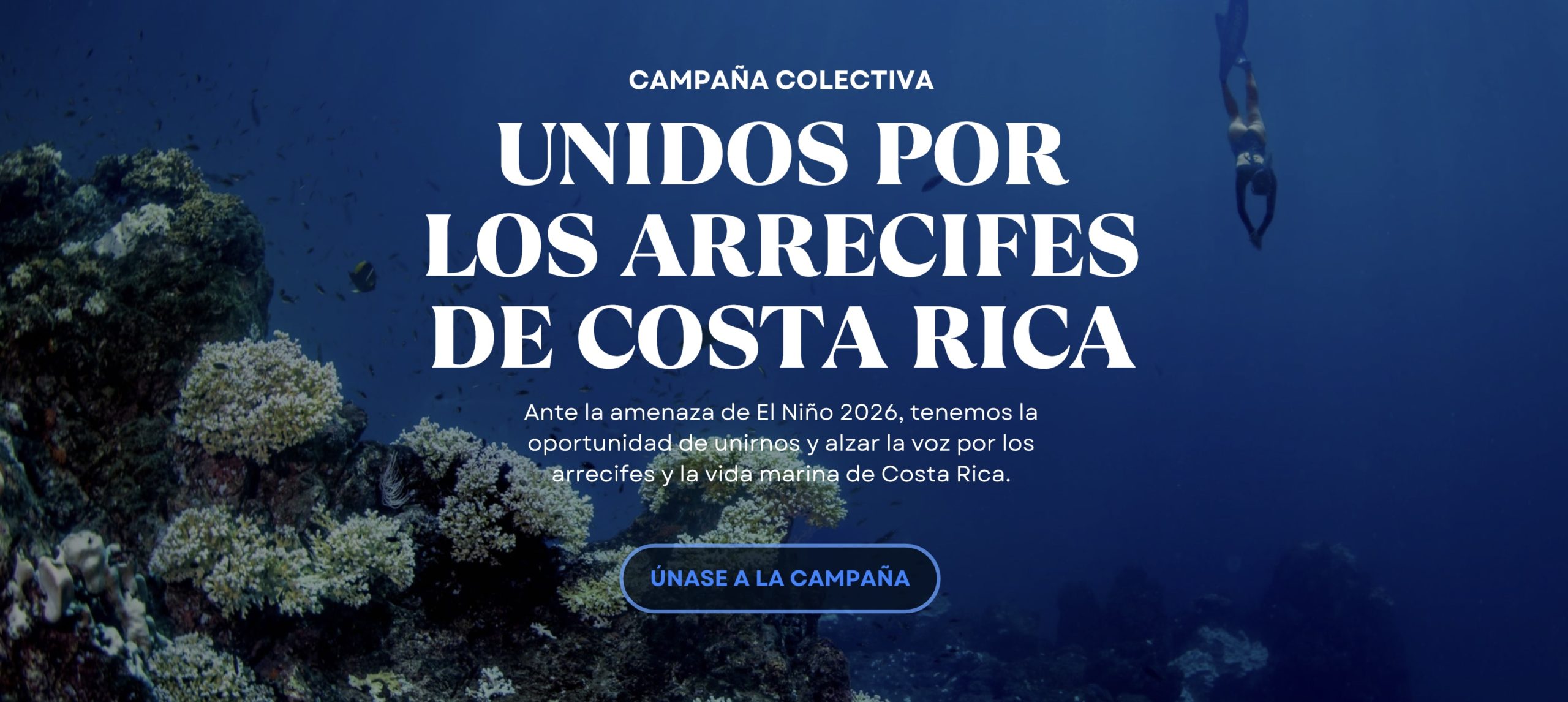 Imagen principal del artículo: Nace campaña nacional para reducir presión humana sobre arrecifes ante nuevo evento de El Niño