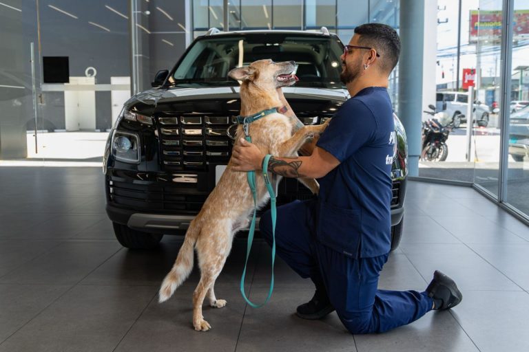 Zaguatón Hyundai multiplicará donaciones de alimento para perros de Territorio de Zaguates y Cuna de Campeones