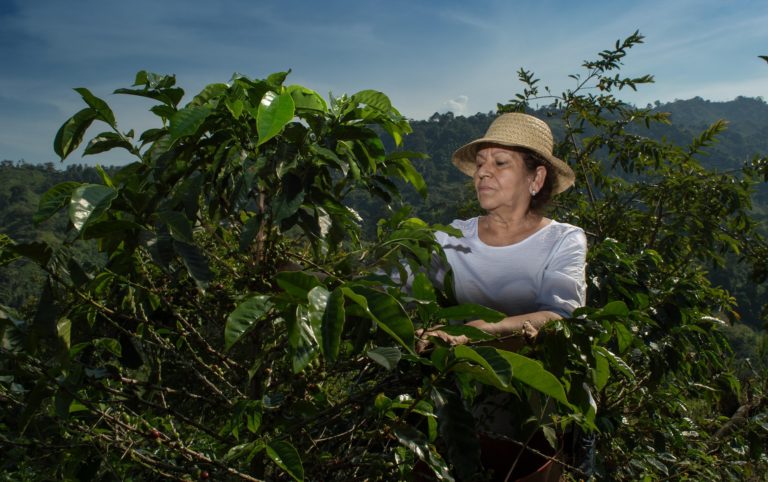 Historias completas construyen confianza: responsabilidad social en el sector café
