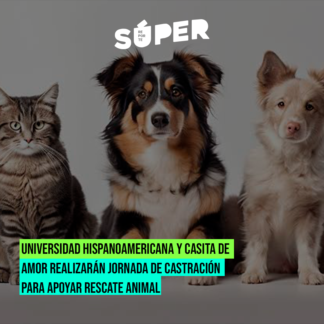 Jornada de castración para apoyar el rescate animal