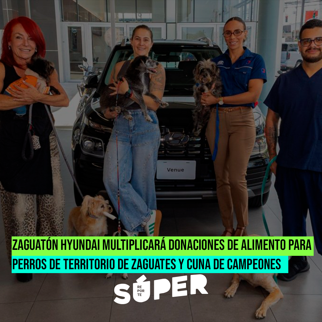 Hyundai Grupo Q realizará durante julio una campaña de recolección de alimento para perros rescatados.
