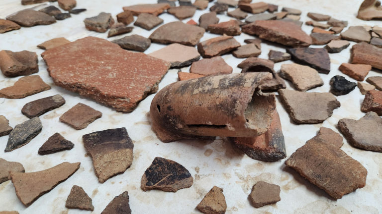 Museo Nacional concluye rescate arqueológico en terrenos del futuro aeropuerto de Osa