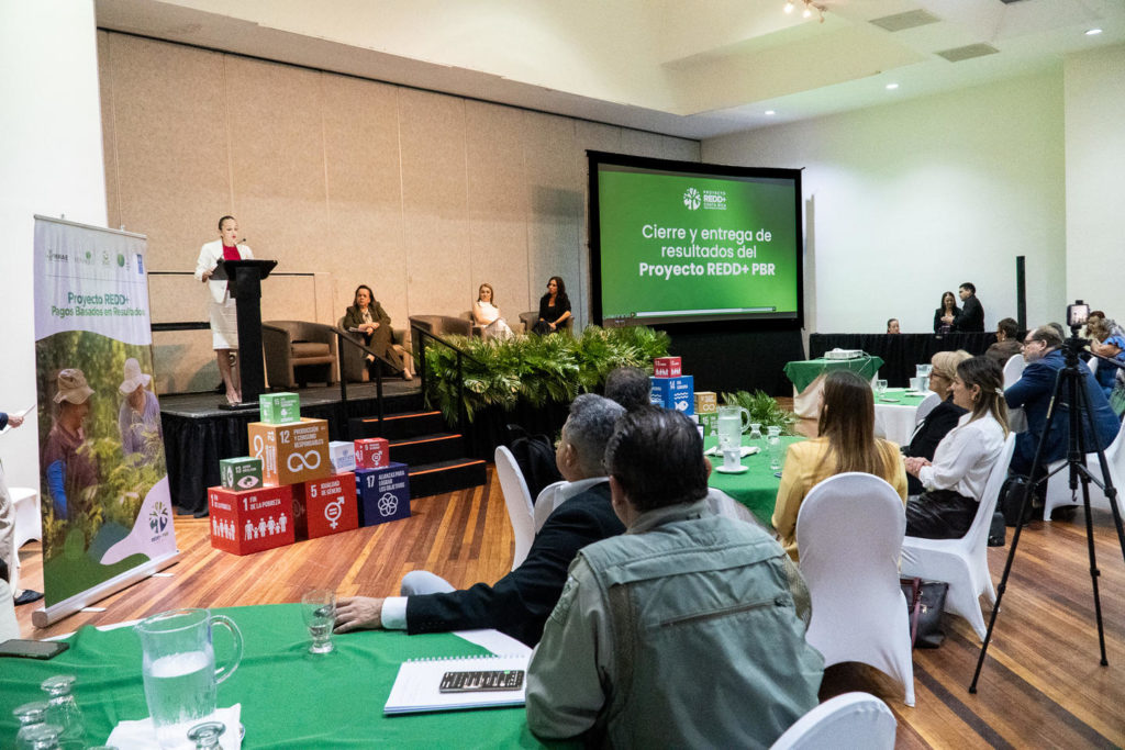 Proyecto REDD+ en Costa Rica canalizó $54,19 millones a conservación de bosques y prevención de incendios