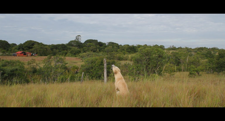 Cine Magaly estrenará en Costa Rica el documental “El Río del Perro”