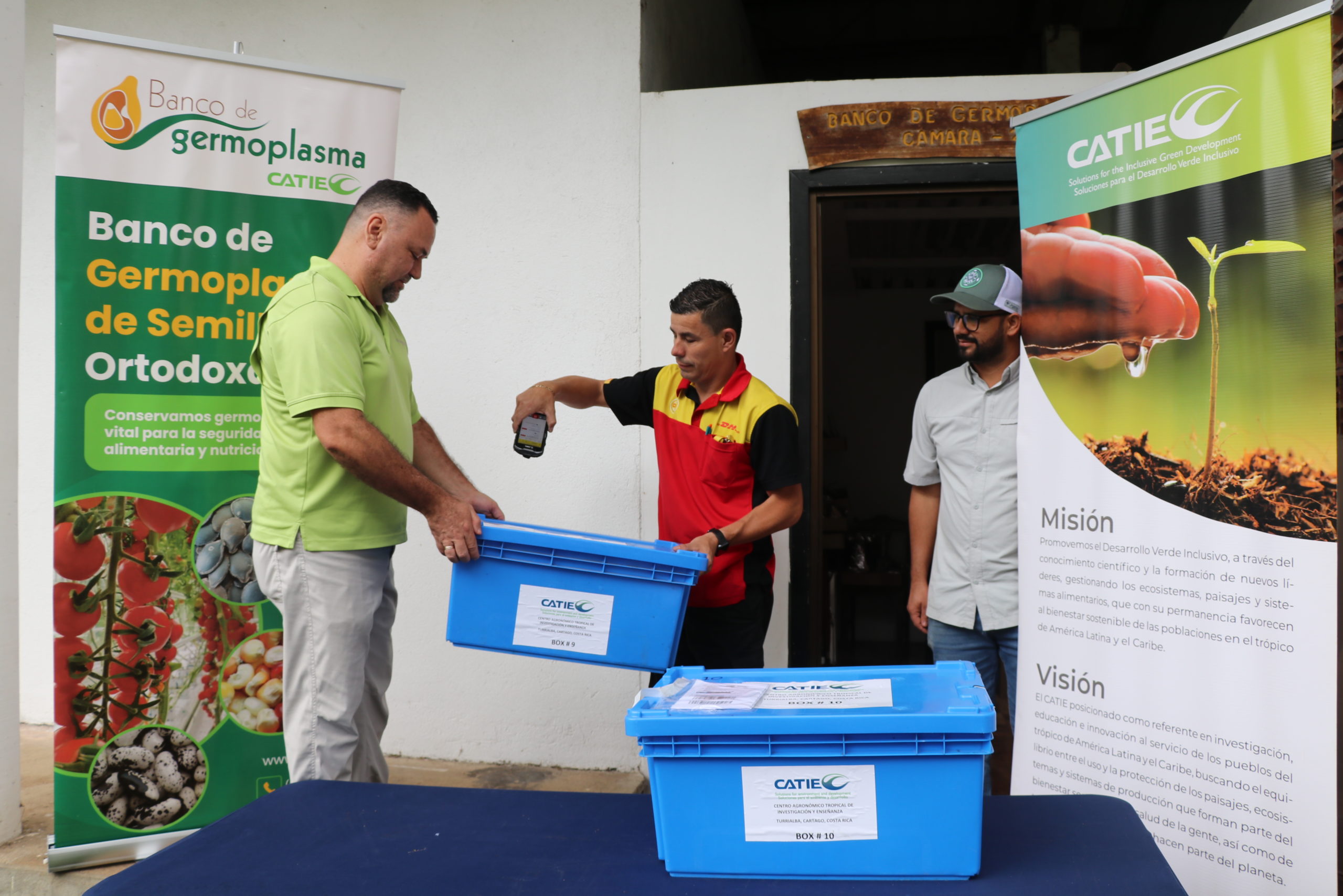 Imagen principal del artículo: Banco de semillas del Catie cumple 50 años resguardando diversidad agrícola del país
