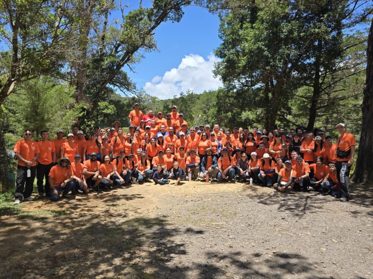 107 voluntarios siembran 500 árboles cerca del Parque Nacional Los Quetzales