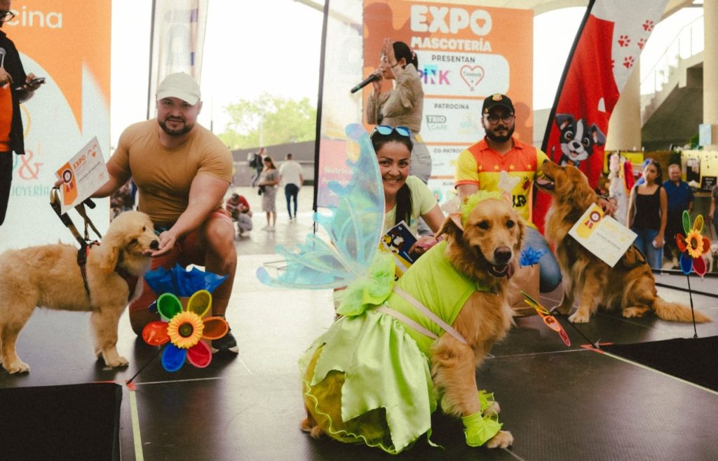 "Expo Mascotería" ofrecerá jornadas de adopción responsable de perros y gatos en Heredia