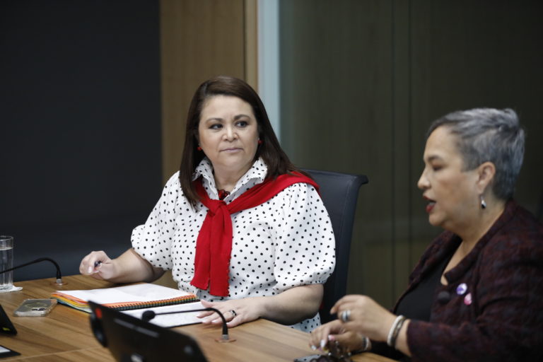 Diputada oficialista propone autorizar el uso de dispositivos Taser por cuerpos policiales