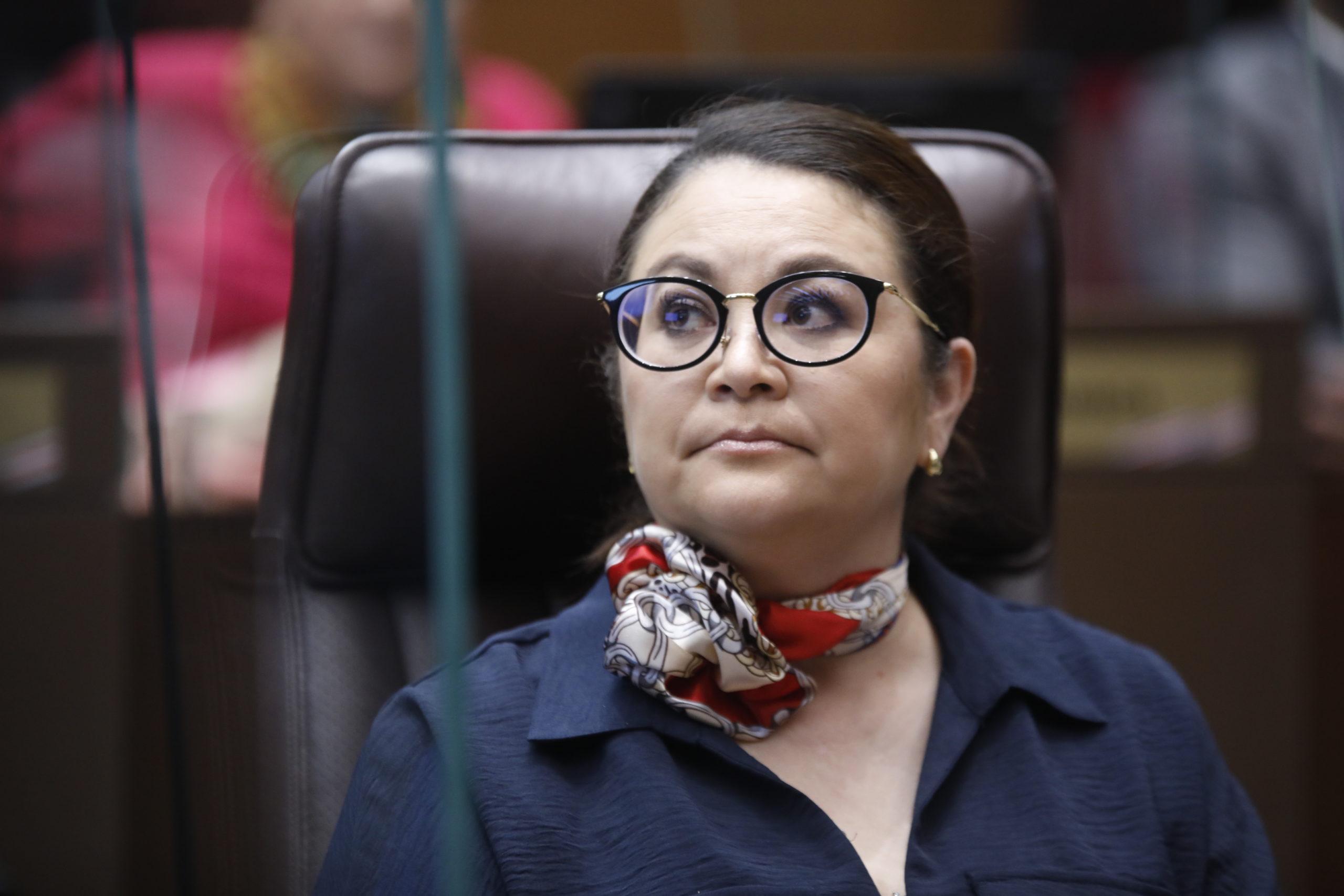 Imagen principal del artículo: Once oficialistas proponen incluir el derecho a la autodeterminación informativa en la Constitución