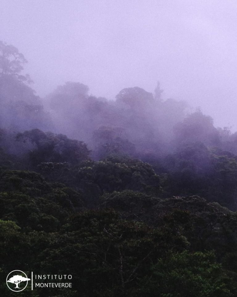 Monteverde reunirá a cerca de 80 especialistas para avanzar evaluación internacional sobre biodiversidad y territorio