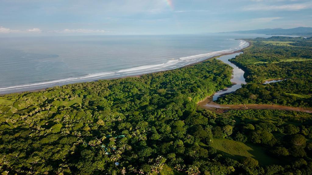 Sala IV ordena a SETENA fiscalizar posibles impactos ambientales de proyecto extractivo en río Arío