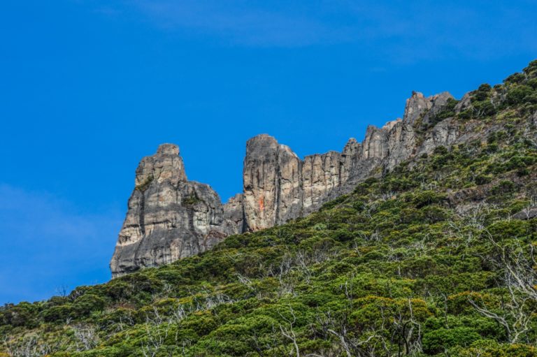 Rescatan con vida a turista desaparecido durante cinco días en el Chirripó