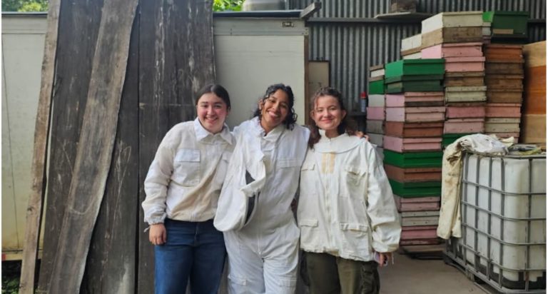 Estudiantes de Nicoya desarrollan formulación vegetal para favorecer presencia de abejas en cultivos de melón