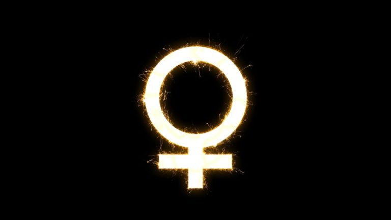 ¿Y si las mujeres tuvieran su propio partido?