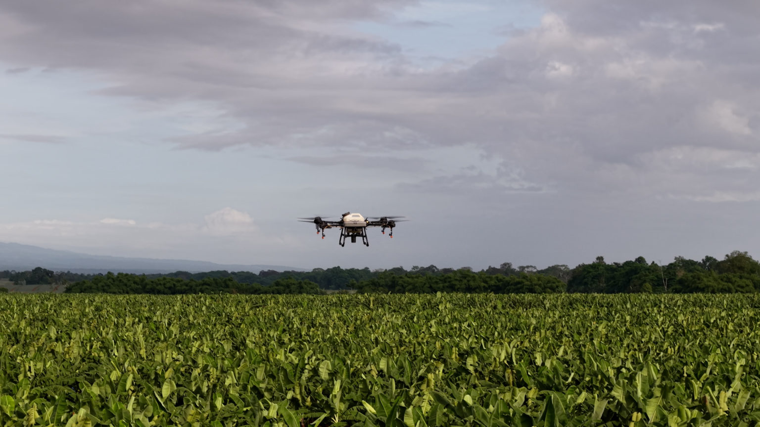 Imagen principal del artículo: Procomer y Corbana impulsan formación especializada en drones y agricultura de precisión para el futuro del sector bananero