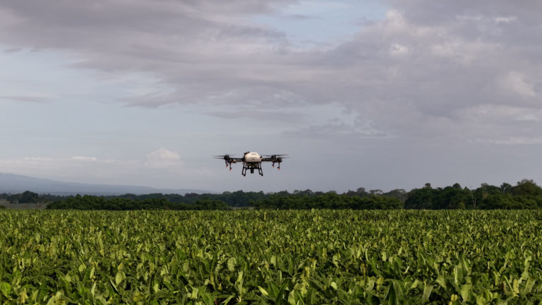 Procomer y Corbana impulsan formación especializada en drones y agricultura de precisión para el futuro del sector bananero