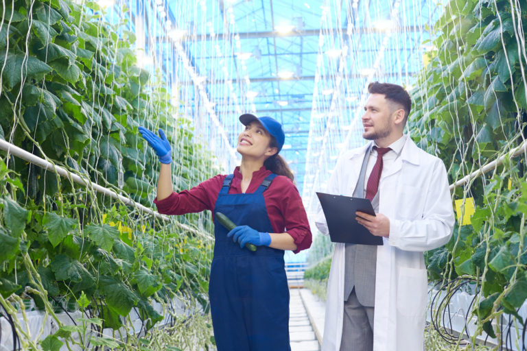 Del campo a las finanzas: gestión adecuada de riesgos agropecuarios
