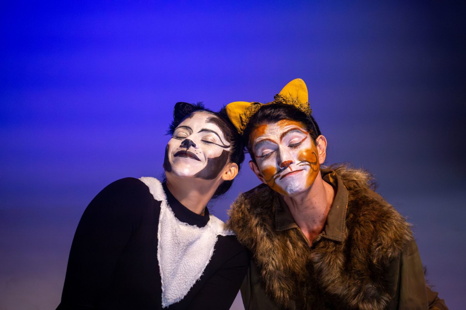 Imagen principal del artículo: ANPA-teatro llevará obra sobre bienestar animal a San José, Heredia y Cartago