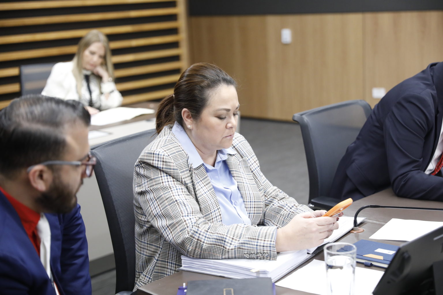 Imagen principal del artículo: Diputada oficialista propone declarar de interés público atención definitiva de la Quebrada Los Negritos