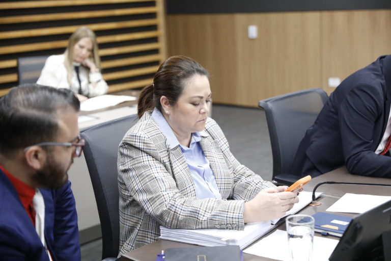 Diputada oficialista propone declarar de interés público atención definitiva de la Quebrada Los Negritos