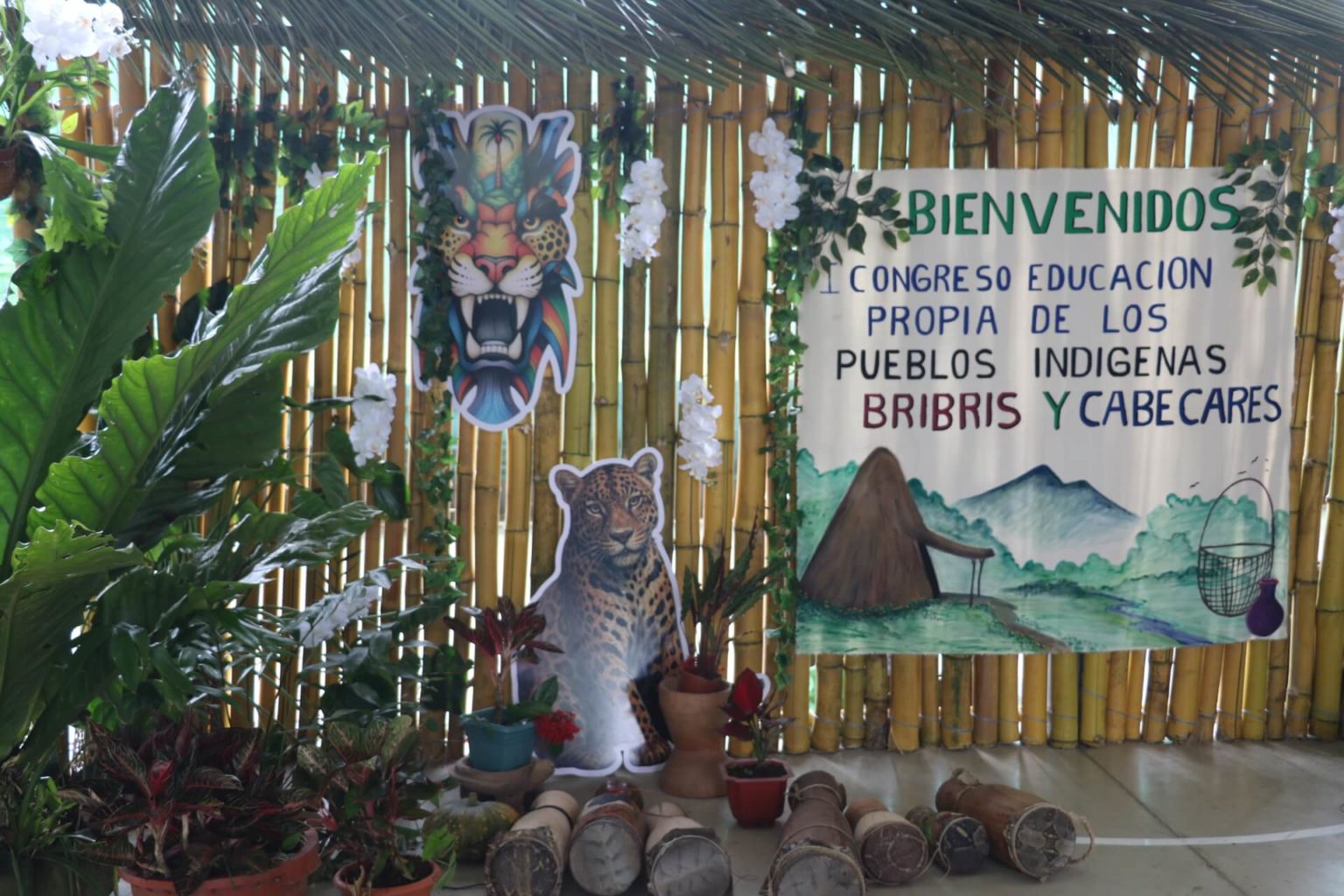 Imagen principal del artículo: Congreso sobre educación indígena plantea bases para una enseñanza propia Bribri y Cabécar